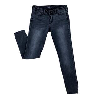 Abercrombie and Fitch Classic Skinny Jeans, Faded Black, Stretch, Size 27/4